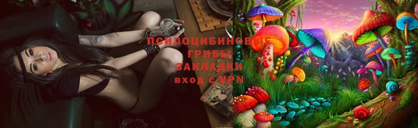 СК Бородино
