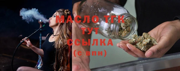 прущий лед Богданович