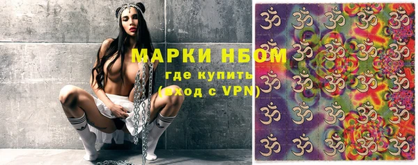 прущий лед Богданович