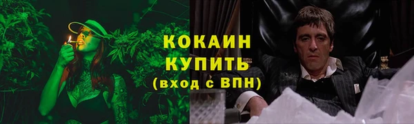 прущий лед Богданович