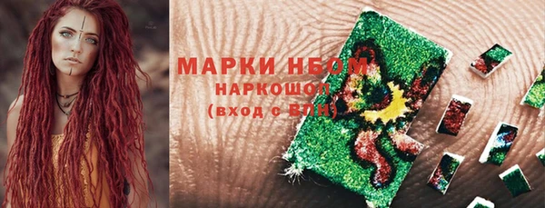 прущий лед Богданович